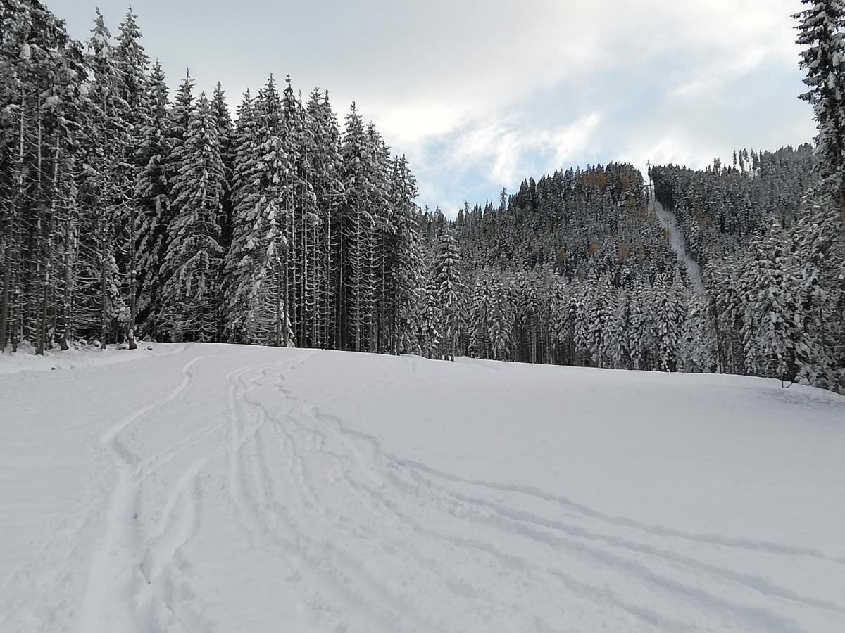 Ferienwohnung Blick auf die Buchensteinerwand Hochfilzen Exterior foto